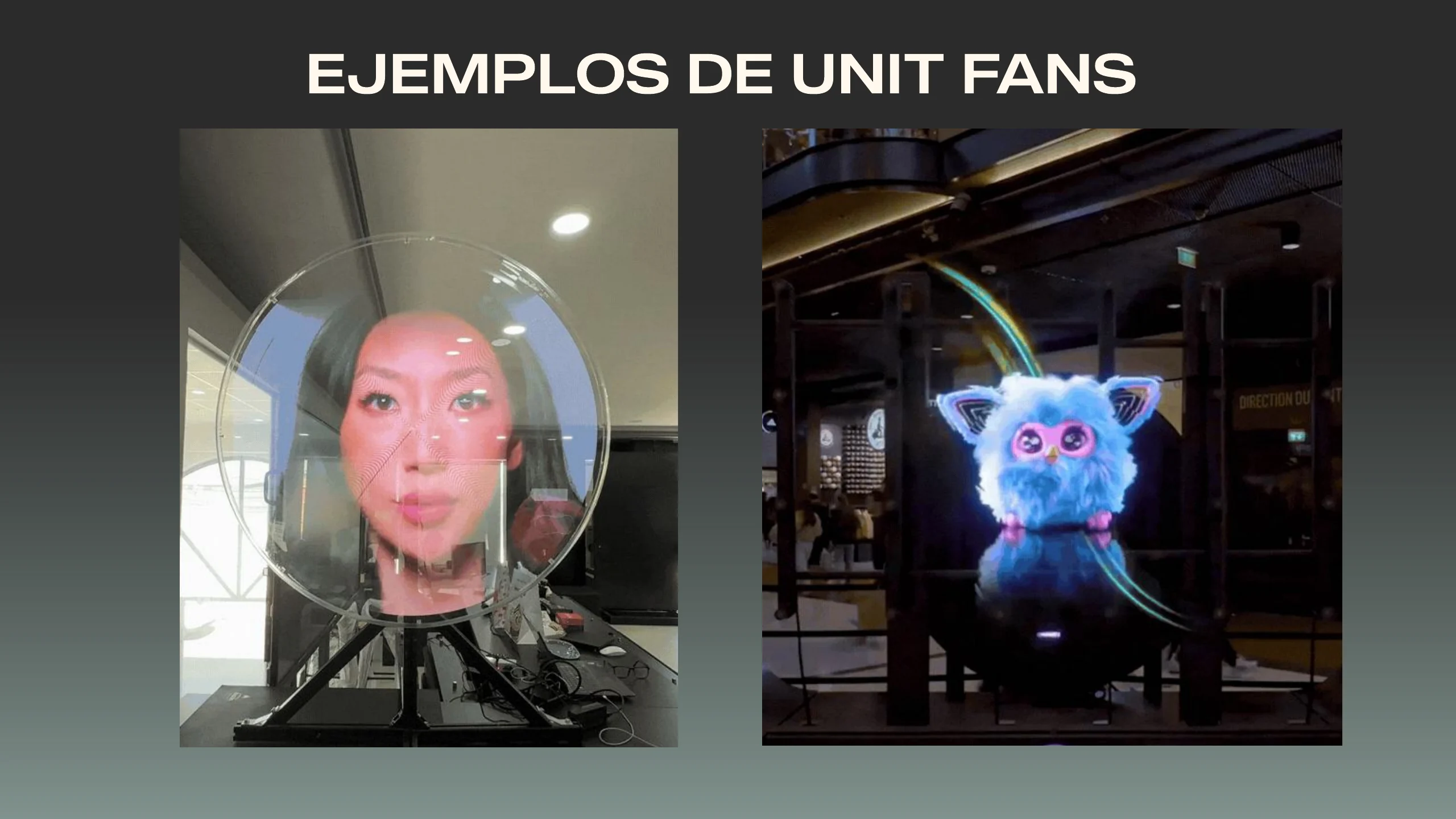Slide 6